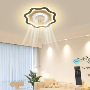 Modern Fan Ceiling Light, Remote
